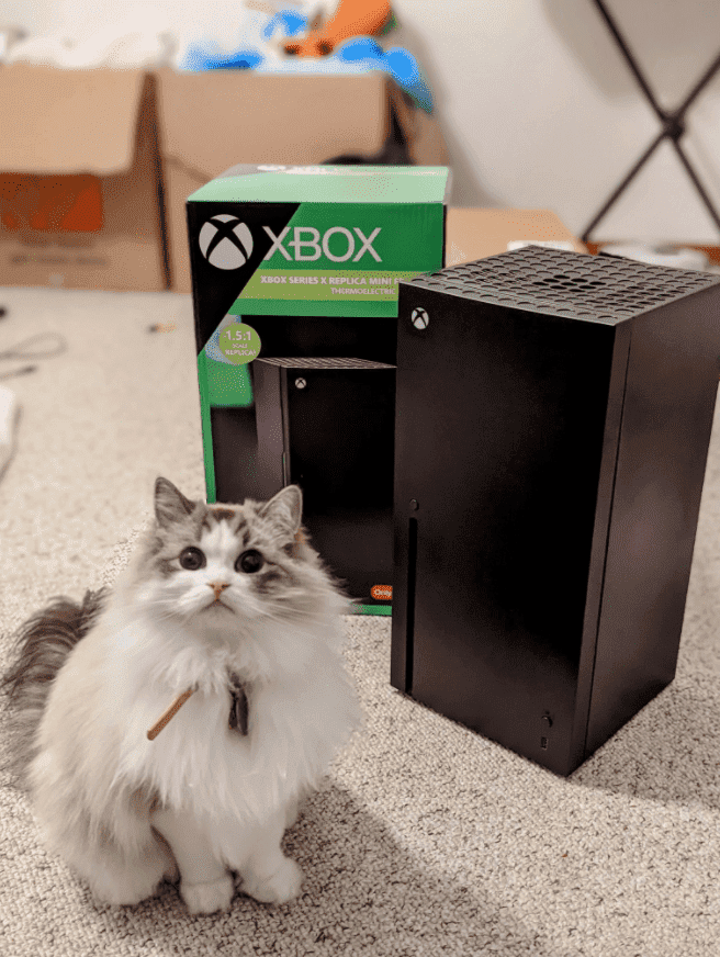 Xbox Series X mini buzdolabı